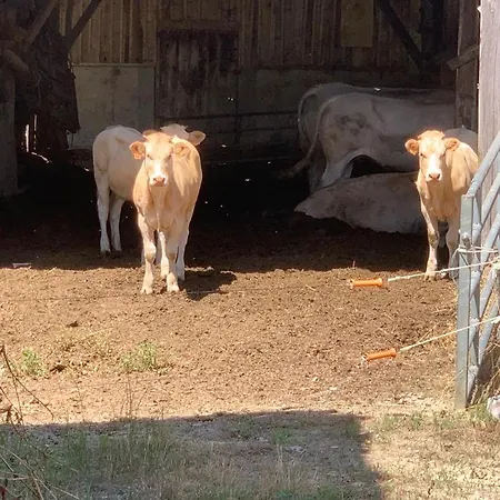 Grand A Arbas, Сasa de vacaciones *